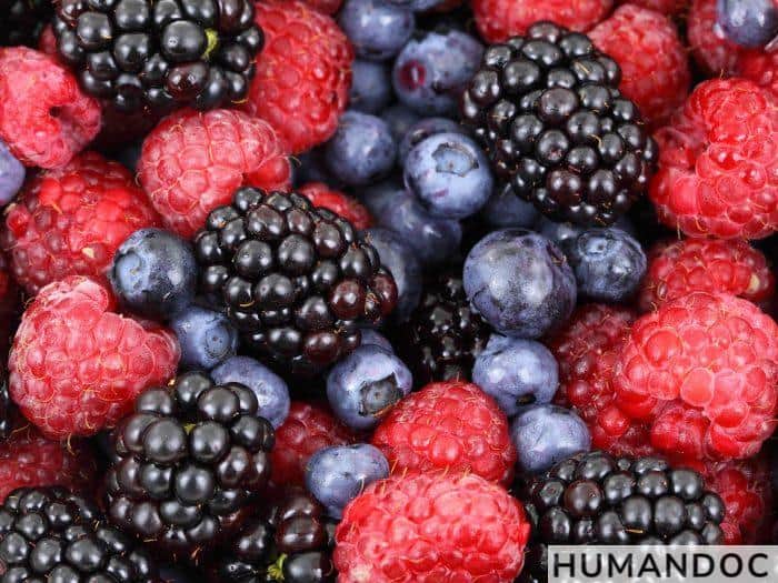 frambuesas y frutos rojos