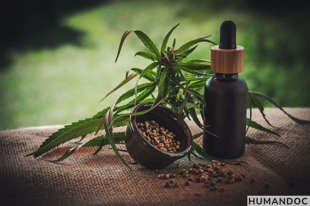 Vapers de CBD: administración rápida y precauciones Persona usando un vaporizador como ejemplo de administración inhalada de CBD